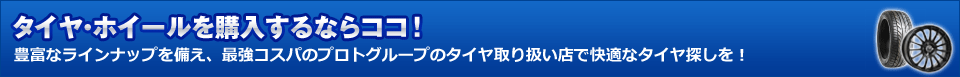 �����䡦�ۥ�������������ʤ饳������˭�٤ʥ饤��ʥåפ��������Ƕ������ѤΥץ��ȥ��롼�פΥ�����谷��Ź�ǲ�Ŭ�ʥ�����õ����