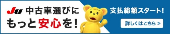 JU_��ʧ����