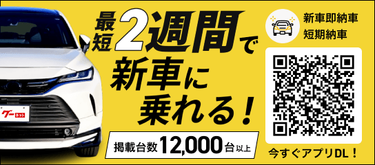 ��û2���֤ǿ��֤˾��롪