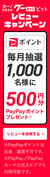 カー!と言えばグーネットピット レビューキャンペーン