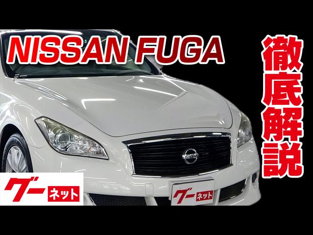������ �ա�����Y51�� 250GT A�ѥå����� �����ͥå�ư�襫������