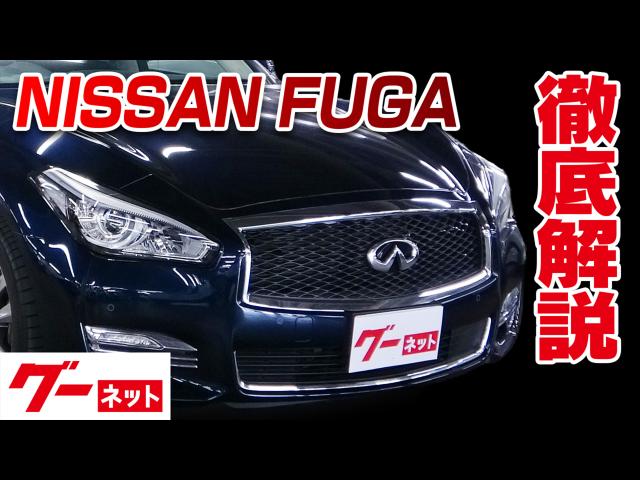 ������ �ա�����Y51�� 250VIP �����ͥå�ư�襫������