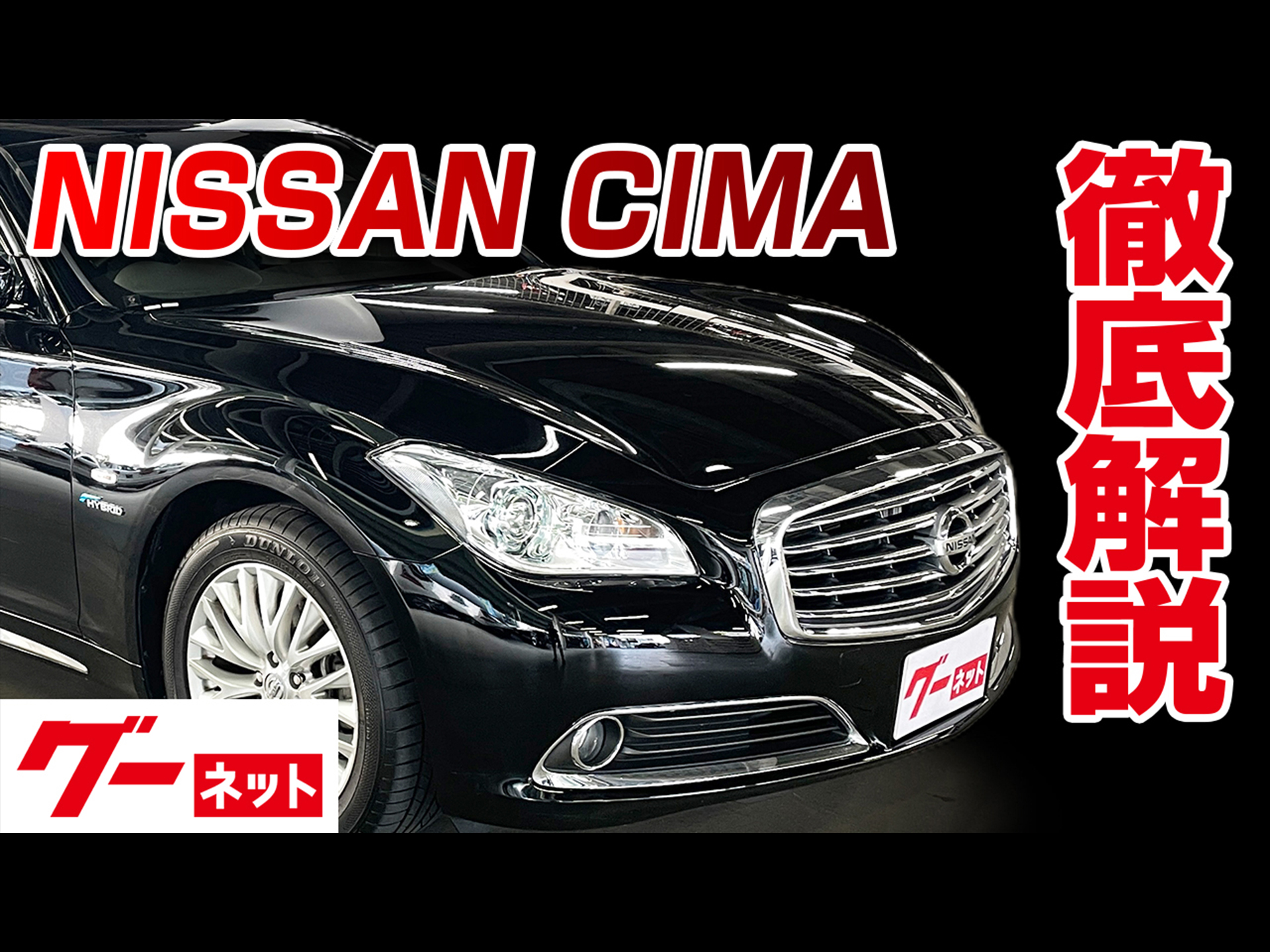 ������ �����ޡ�Y51�� �ϥ��֥�å� VIP �����ͥå�ư�襫������