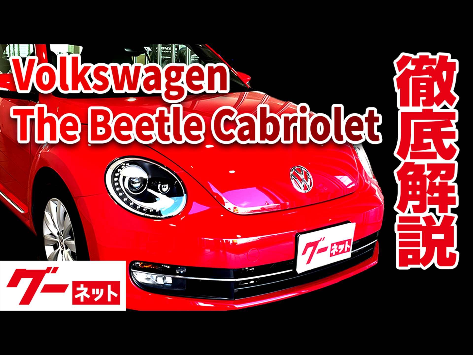 �ڥե��륯������� �����ӡ��ȥ� ���֥ꥪ��ۥ����ͥå�ư�襫������