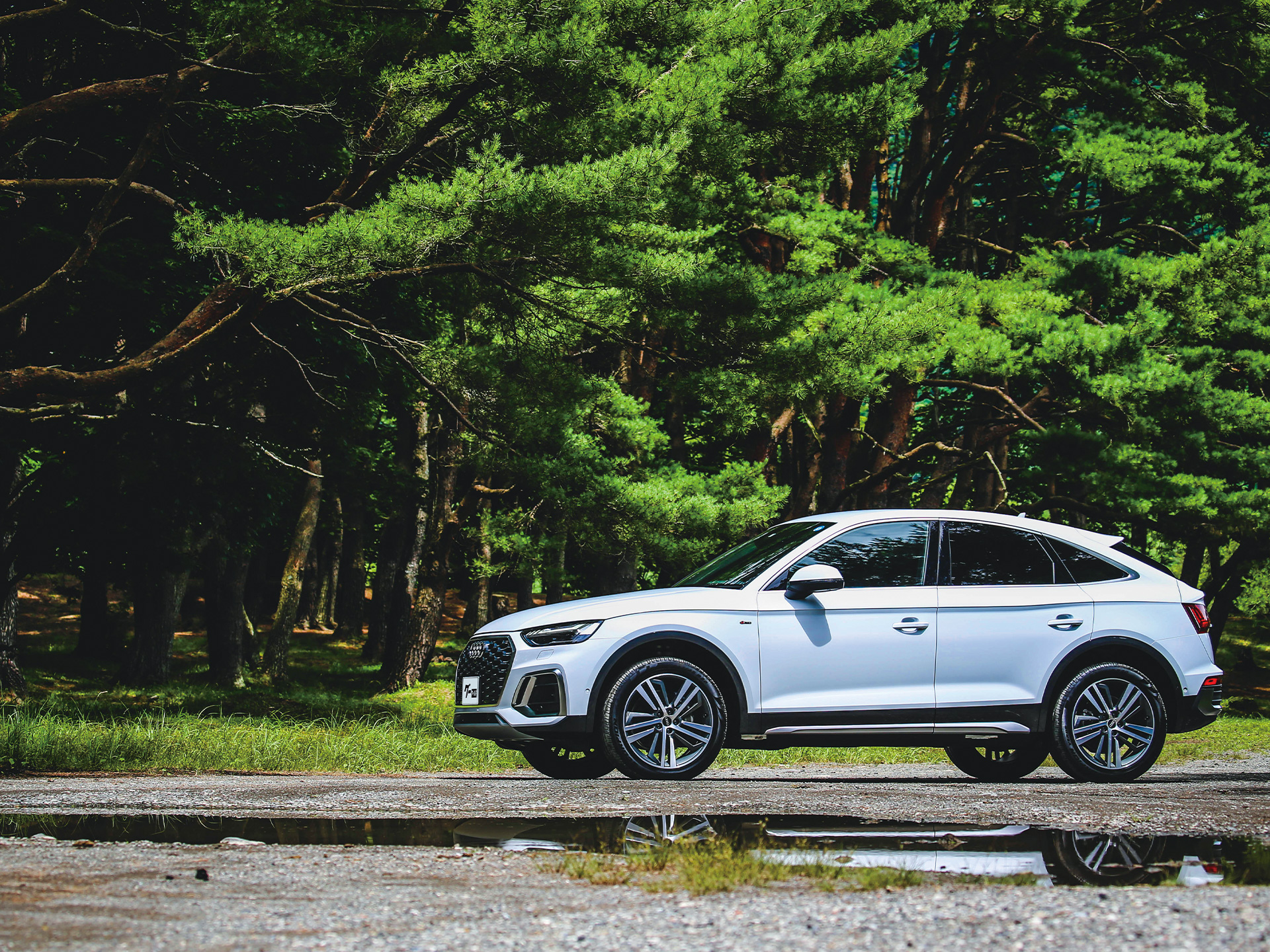 �����ǥ��ý����͵���SUV�������ܤ�BEV�ޤǡΤ��줬AUDIή��