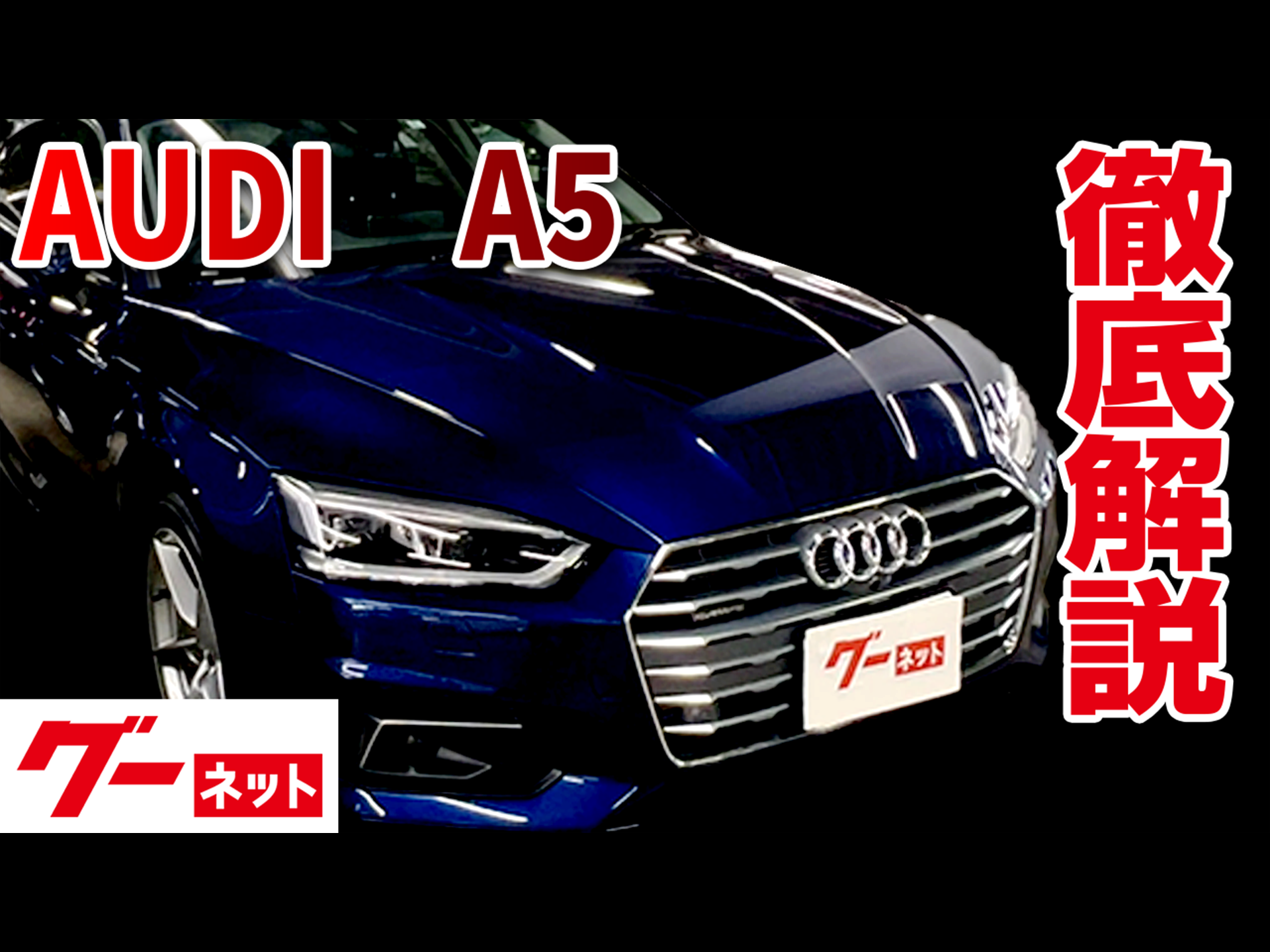 �ڥ����ǥ�A5���ݡ��ĥХå���F52.0TFSI����ȥ� ���ݡ��� �����ͥå�ư�襫������