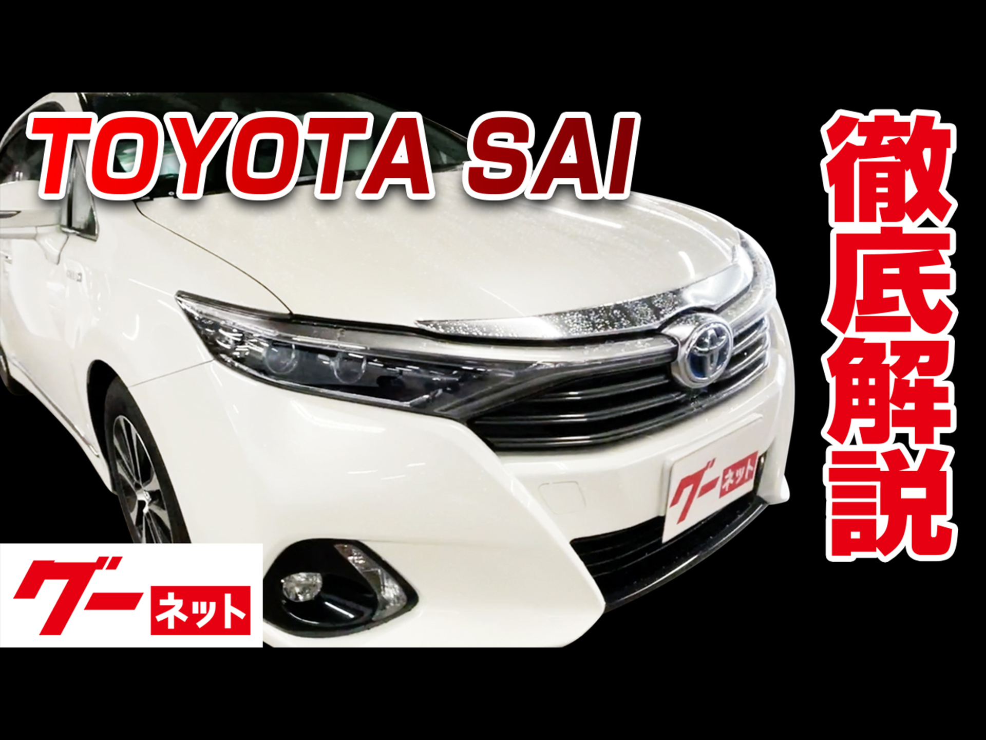 �ڥȥ西 SAI��10�� G A�ѥå����� �����ͥå�ư�襫������