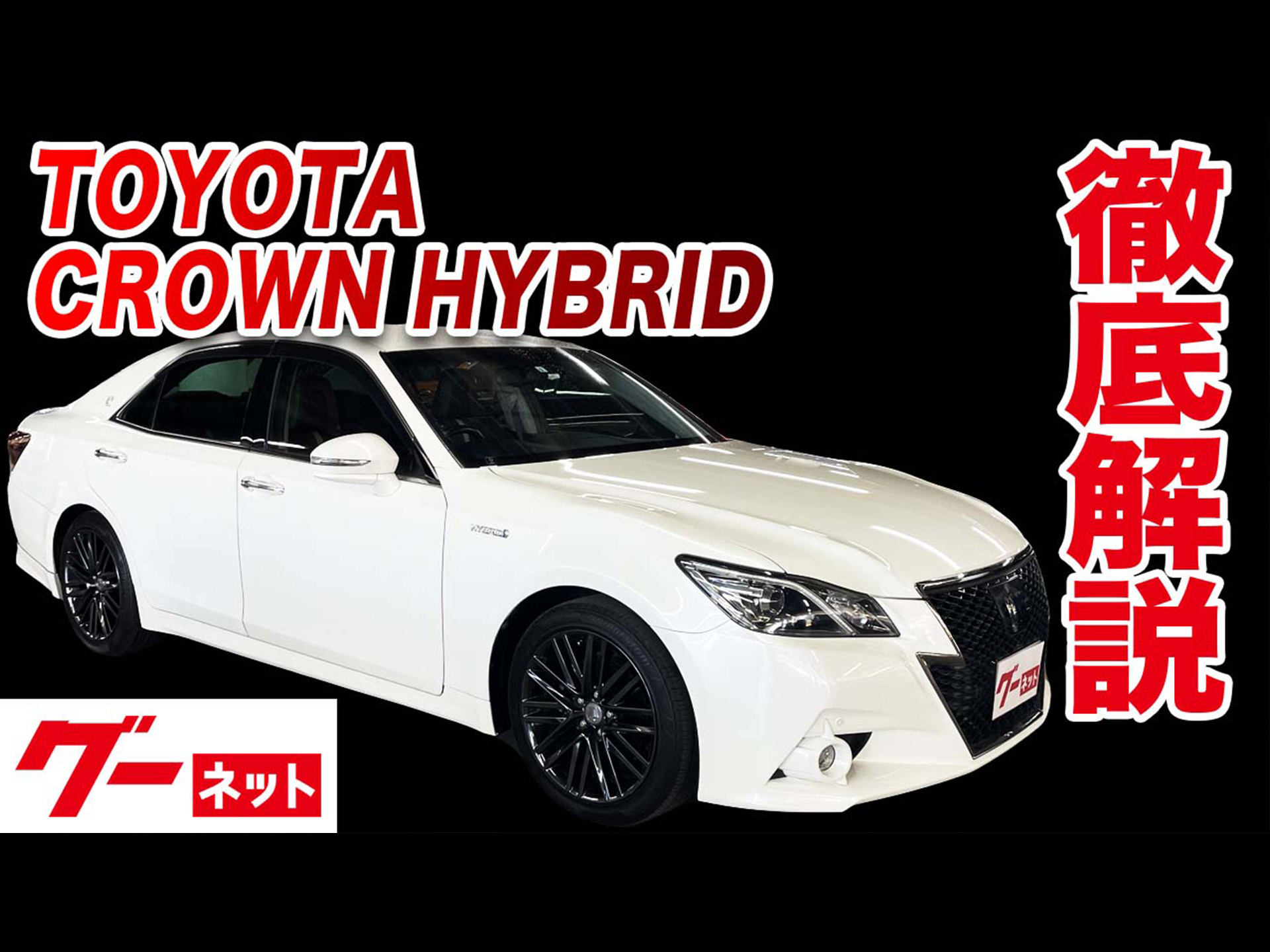 �ڥ��饦��ϥ��֥�åɡ� �����꡼��S �֥�å��������륰���ͥå�ư�襫������