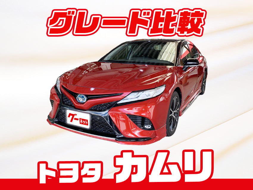 �ȥ西�ο͵�������֥����ץ��졼����ӡ��ڵ��ˤʤ륰�졼�ɡ��ɤ����㤦����