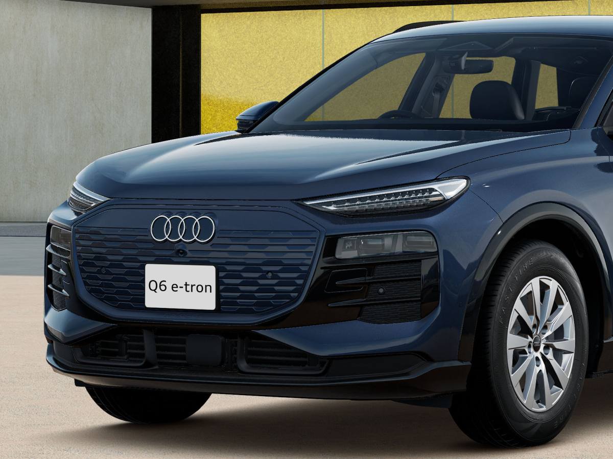 ��³700kmĶ�������ǥ���Q6 e-tron�ץ��󥰥ɥ饤�֤�¿��ο��ѥå�����