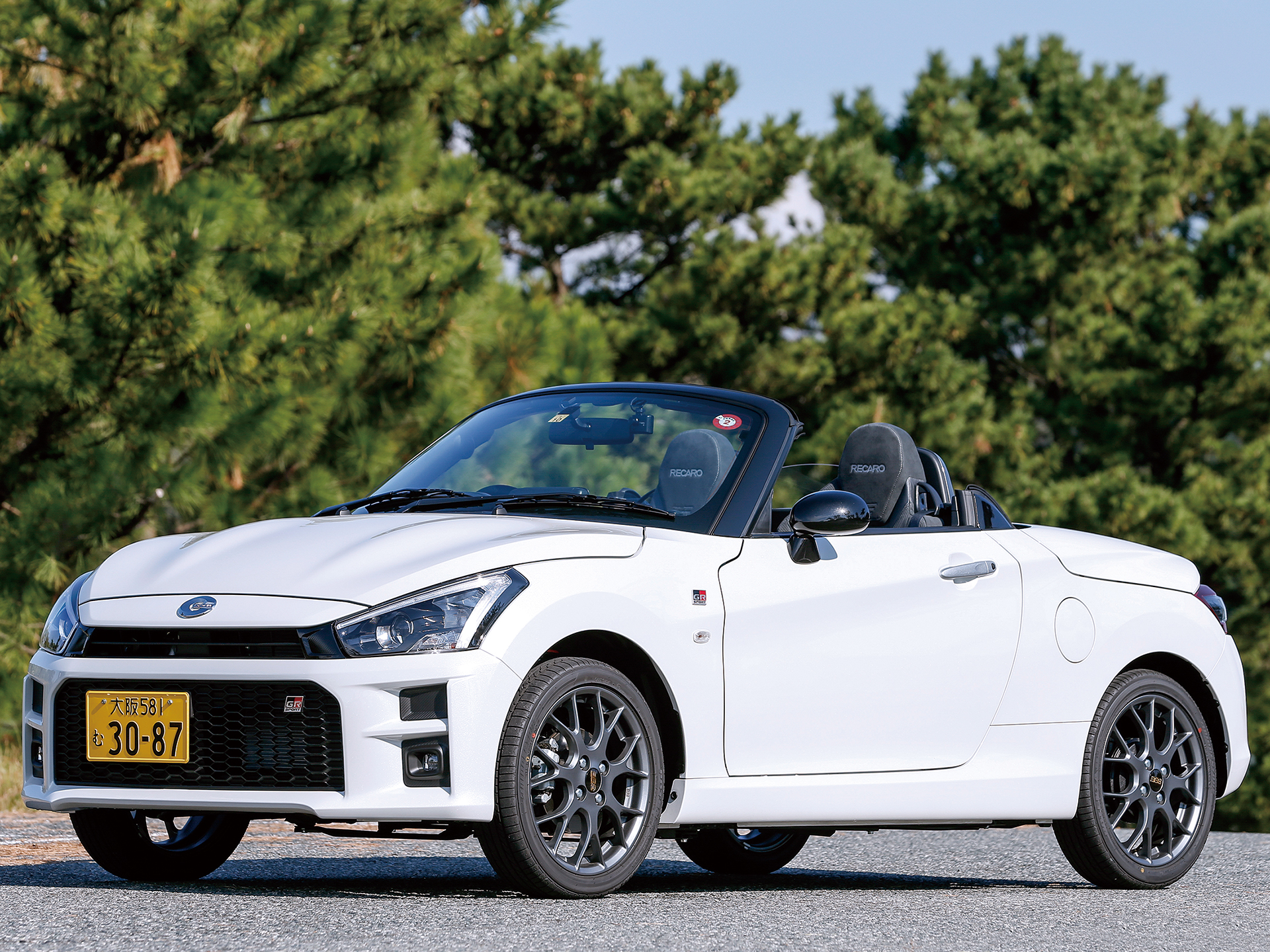 2025�ڽ������ܥ�ǥ��������إ��ڥ��