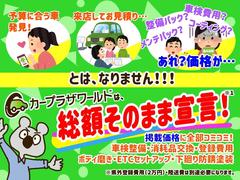 �ӥ塼�� ���������١����奫�顼�����������ǥ������쥶�������ȡ���ư��Ǽ�ߥ顼 0171025A30250903W002 2