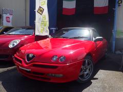 ����ե����ѥ����� �١������졼�� 0205737A30230606W001 2