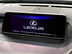 �ڣ�������������磻�ɥʥӡ۹�鴶�ȥ���ѥ��ȤΤ����緿�磻�ɥʥӤ��������Ƽ索���ǥ������Ϥ�����󡢲�Ĺ�磻�ɲ��̤ǤΥޥåף�ʬ��ɽ���ʤɡ���������⤤�ʥӤǤ��� 3