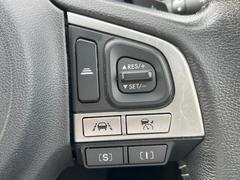 ������®�ɽ���ǽ�ե��롼������ȥ�����۹�®ƻϩ�Ǥ�Ĺ��Υ���Ԥ��ڤˡ�����ư��®�٤��ݤĥ��롼������ȥ����뤬�����ͷڸ������ƥ��Ϣ�Ȥ��������μ�ξ���Τ��Ƽִ֤��ݤĤ褦��®��Ĵ�ᤷ�Ƥ���ޤ����� 5