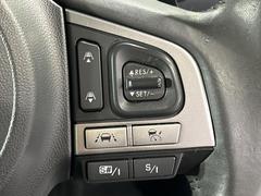 ������®�ɽ���ǽ�ե��롼������ȥ�����۹�®ƻϩ�Ǥ�Ĺ��Υ���Ԥ��ڤˡ�����ư��®�٤��ݤĥ��롼������ȥ����뤬�����ͷڸ������ƥ��Ϣ�Ȥ��������μ�ξ���Τ��Ƽִ֤��ݤĤ褦��®��Ĵ�ᤷ�Ƥ���ޤ����� 6
