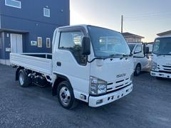 ����եȥ�å� �ե�ե�åȥ�����������ʿ�ܥǥ�����®�ޥ˥奢�롡���㾲 0404019A30251017W001 2