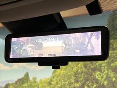 �ڥ���ƥꥸ����ȥ롼��ߥ顼�۸��ʤ��礭�ʲ�ʪ��Ʊ��ԤǸ�������ǧ���Ť餤���Ǥ�¿�������餬���Ƥ�����ξ�����α�����롼��ߥ顼���ɽ�������ꥢ�ʻ볦�Ǿ����γ�ǧ����ǽ�Ǥ��� 7