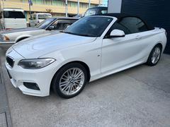 �����꡼�� �������饫�֥ꥪ�졡�ͥ��ݡ��� 0509316A30251018W002 3