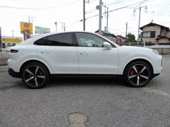 �������󥯡��� ��������ӡ������� 0540760A30250921W001 7