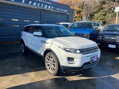 ��󥸥����С����������� �ץ쥹�ơ��������饹�롼�ա����������ʥӡ������������������ߥۥ����롡�ѥ�ꥢ������ 0551435A30241224W001 6