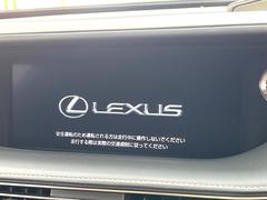 �ڣ�������������磻�ɥʥӡ۹�鴶�ȥ���ѥ��ȤΤ����緿�磻�ɥʥӤ��������Ƽ索���ǥ������Ϥ�����󡢲�Ĺ�磻�ɲ��̤ǤΥޥåף�ʬ��ɽ���ʤɡ���������⤤�ʥӤǤ��� 5