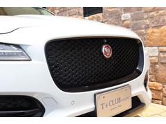 �ƥڥ��� �ӡ��ر�֡��̣ţĥ饤�ȡ������ʥ��ϥǥ��ԣ֡��ϡ��ե쥶�� 0701965A30250623W001 6
