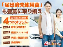 ��˥若�� �š��ţԣá���ư��Ǽ�ߥ顼�������ȥҡ��������ã֣� 0710066A30251025W002 5