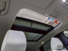 �ڥ���롼�աۿ͵��᡼�������ץ���󡣳��������������Ф��ޤ��� 7