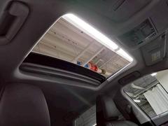 �ڥ���롼�աۿ͵��᡼�������ץ���󡣳��������������Ф��ޤ��� 7