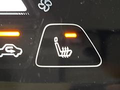 �ڥ����ȥҡ������۴������˽������륷���ȥҡ������������������᤯���ޤäƤ����ΤǴ�����οͤ�¿��Ǥ��͢���������β����ϴ��礹�뤫���ꡢ�Ȥ������ˤ�򤪤�����Ǥ��� 6