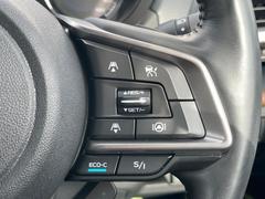������®�ɽ���ǽ�ե��롼������ȥ�����۹�®ƻϩ�Ǥ�Ĺ��Υ���Ԥ��ڤˡ�����ư��®�٤��ݤĥ��롼������ȥ����뤬�����ͷڸ������ƥ��Ϣ�Ȥ��������μ�ξ���Τ��Ƽִ֤��ݤĤ褦��®��Ĵ�ᤷ�Ƥ���ޤ����� 5