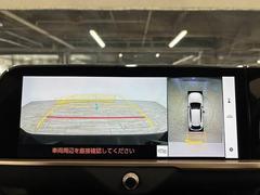�������̥�˥����ۡ�����ޤ������鸫�������Ƥ��뤫�Τ褦�ˡ�ľ��Ū�˼��Ϥξ������İ��Ǥ��ޤ��� 4