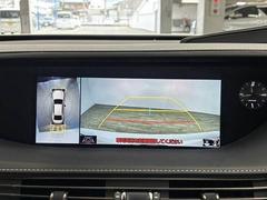 �������ϥ�˥����ۡ�����ޤ������鸫�������Ƥ��뤫�Τ褦�ˡ�ľ��Ū�˼��Ϥξ������İ��Ǥ��ޤ��� 4
