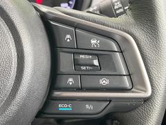 ������®�ɽ���ǽ�ե��롼������ȥ�����۹�®ƻϩ�Ǥ�Ĺ��Υ���Ԥ��ڤˡ�����ư��®�٤��ݤĥ��롼������ȥ����뤬�����ͷڸ������ƥ��Ϣ�Ȥ��������μ�ξ���Τ��Ƽִ֤��ݤĤ褦��®��Ĵ�ᤷ�Ƥ���ޤ����� 6