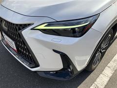 �̣ţĥإåɥ饤�ȤǤ����ǥ����������褯�ȤƤ����뤤�Τǡ���֤����Ԥ䰭ŷ���Ǥ�¿��Ǥ���������Ĺ��̿�� 6