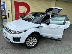 ��󥸥����С����������� �ӣš��������ǥ�������ԣ¡����ףġ��ġ��ȥ�롼�ա����������������ʥ� 1100744A30240727W003 6