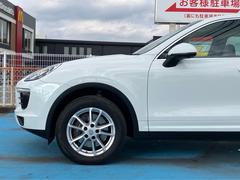 �������� �١������졼�ɡ��ǥ����顼�֡����ϥ�ɥ롡�ѥɥ륷�եȡ��ʥӣԣ� 1101934A30251120W003 7