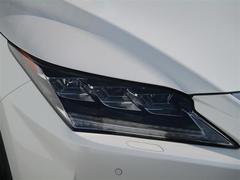 �ң� �ңأ�������̡�����롼�ա����ףġ��ե륻�������꡼�ʥ� 1301025A20250917T001 7