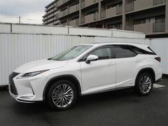 �ң� �ңأ�������̡��ץ����ȡ�����롼�ա����ףġ��ե륻�� 1301025A20251121T003 2