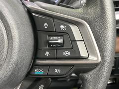������®�ɽ���ǽ�ե��롼������ȥ�����۹�®ƻϩ�Ǥ�Ĺ��Υ���Ԥ��ڤˡ�����ư��®�٤��ݤĥ��롼������ȥ����뤬�����ͷڸ������ƥ��Ϣ�Ȥ��������μ�ξ���Τ��Ƽִ֤��ݤĤ褦��®��Ĵ�ᤷ�Ƥ���ޤ����� 5
