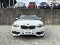 �����꡼�� �������饫�֥ꥪ�졡���ݡ��� 3000678A30250523W002 2