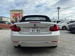 �����꡼�� �������饫�֥ꥪ�졡���ݡ��� 3000678A30250523W002 3