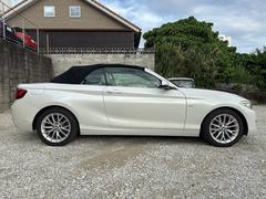 �����꡼�� �������饫�֥ꥪ�졡���ݡ��� 3000678A30250523W002 4