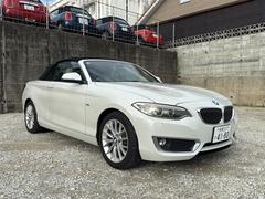 �����꡼�� �������饫�֥ꥪ�졡���ݡ��� 3000678A30250523W002 6
