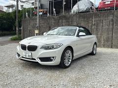 �����꡼�� �������饫�֥ꥪ�졡���ݡ��� 3000678A30250523W002 7
