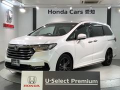 �ۥ�������ǥå��������֥��롼�ȡ��ţء��ȡ��ӣţΣӣɣΣ�