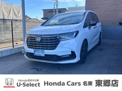 �ۥ�������ǥå����ϥ��֥�åɡ��塧�ȣţ֥��֥��롼�ȡ��ţإ֥�å����ǥ�����󡡥��㥶���ʥӡ��ꥢ�����