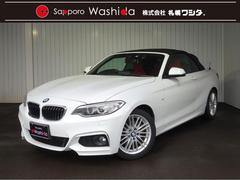�£ͣס������꡼�����������饫�֥ꥪ�졡�ͥ��ݡ��ġ������ץ󥫡����ɥ饤�֥쥳������