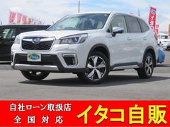 ���Х롡�ե��쥹���������ɥХ󥹡��ӣĥʥӥ�������󡡥ե륻���ԣ֡��£������������б�